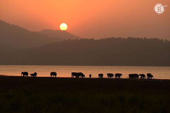 Corbett Sunset