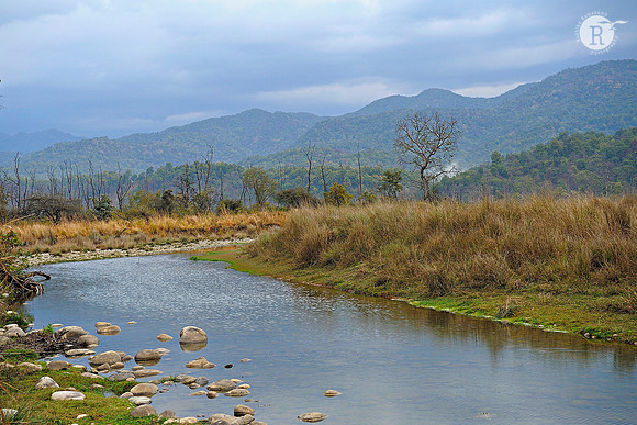 Corbett National Park