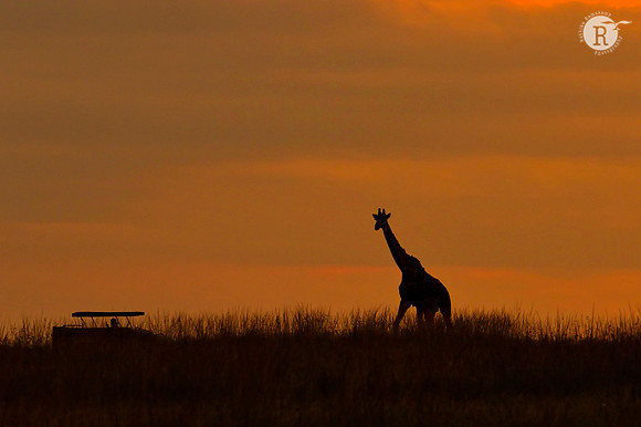 Mara sunset_MAR1783