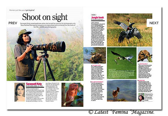 Best of Femina