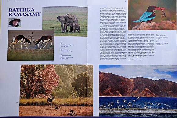.Kyoorius Magazine