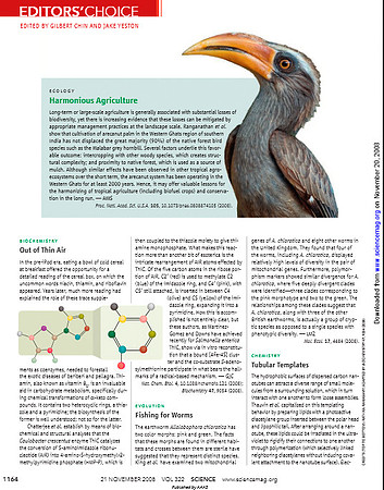 Sciencemag.org