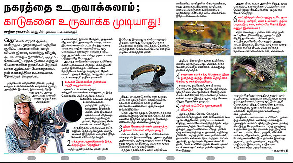 Dinamalar News Daily