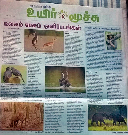 The hindu