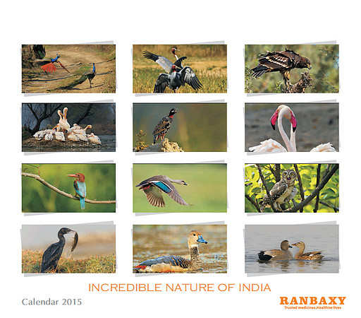 Ranbaxy calendar