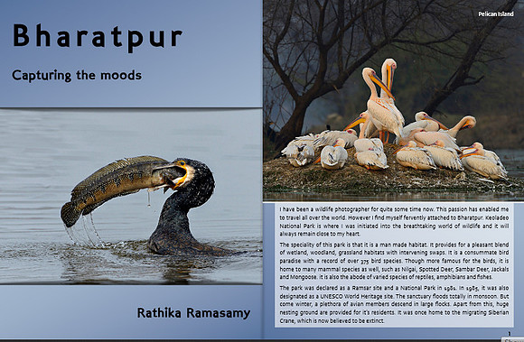Bharatpur