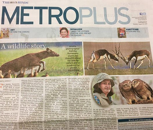 Hindu Metroplus