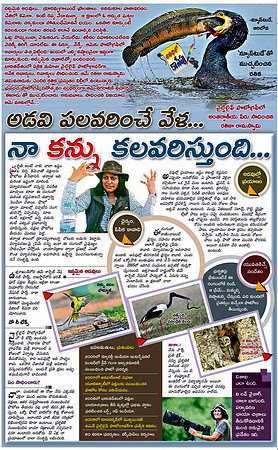 Enadu newspaper