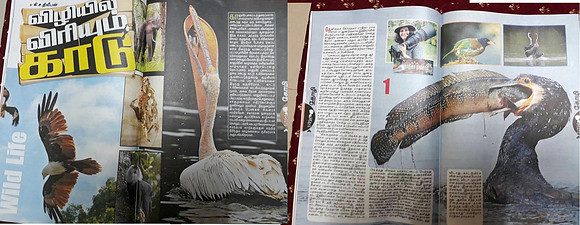 Kungumam thozhi June