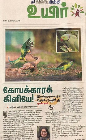 The Hindu