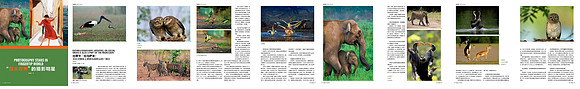 PhotoWorld_Magazine,China