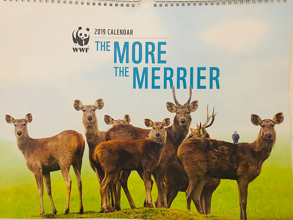 WWF Calendar
