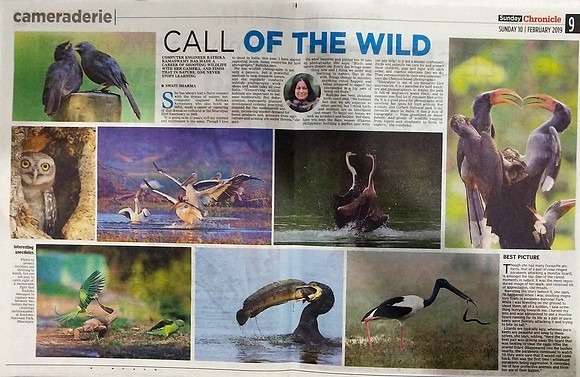 Call_of_the_wild-The Hindu