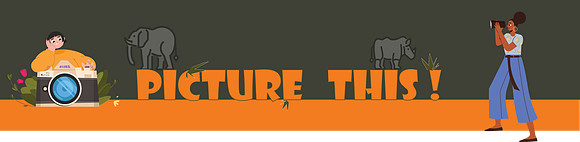 Picture This_main logo PNG