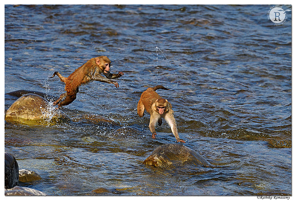 Play time_D4S8490