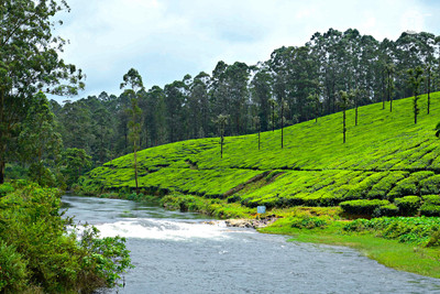 Valparai_MCR5552