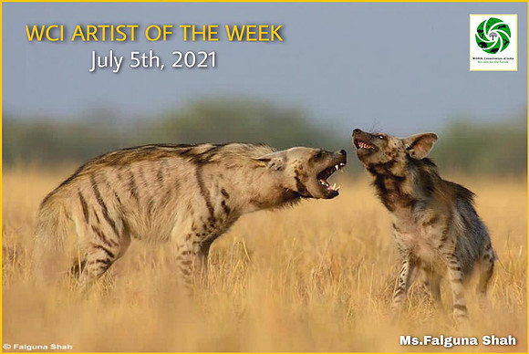 Artist of the week ,July 5-2021