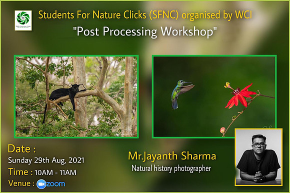 SFNC- Post Processing