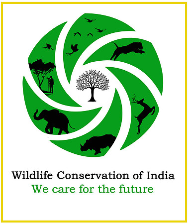 Web -New-Edited logo