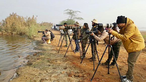 Bird Photography workshop