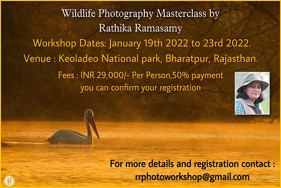 Bharatpur masterclass
