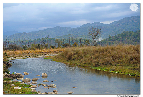 Jim corbett national park_DD37909-web