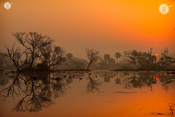 Bharatpur mornings_D550114