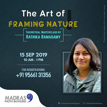 The art of framing nature-workshop