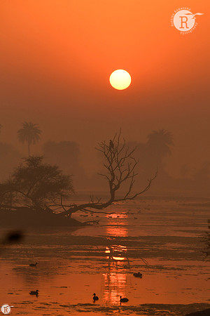 Sunrise_RAD2431
