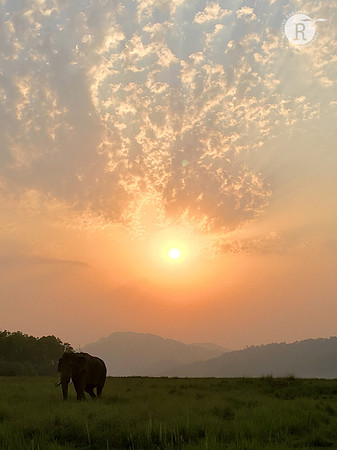 Evening in Corbett National Park