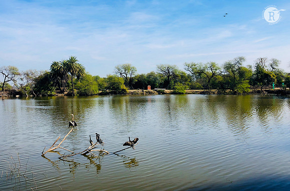 Keoladeo National Park