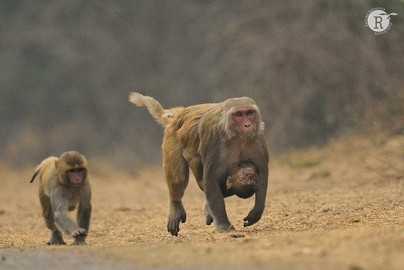 Run baby_D4S6722 (2)