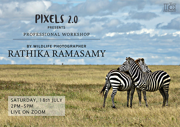 Photography workshop(webinar)@Photography club of IIT-Kanpur