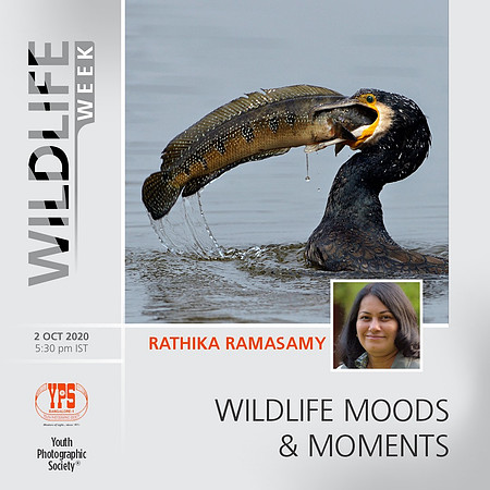 Youth Photographic Society,Bangalore