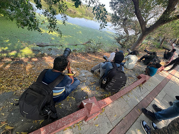 Vedanthangal Bird Sanctuary