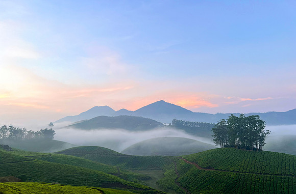 Munnar Morning-IMG_1038