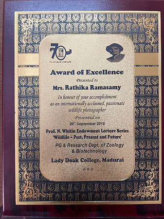 Award of excellence