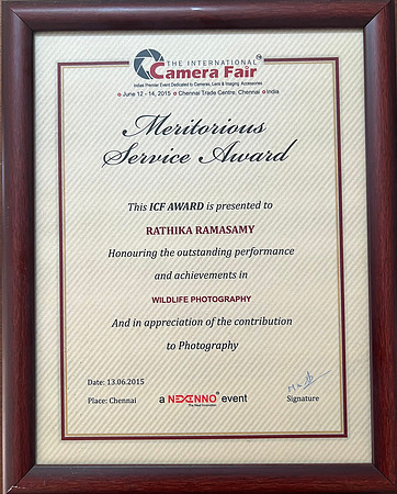 ICF Award-2015