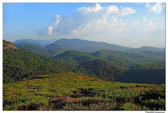 Valparai view_DD38149