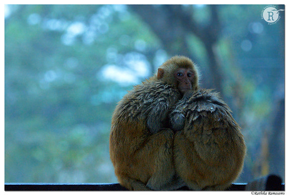 In th rain_D4R7299