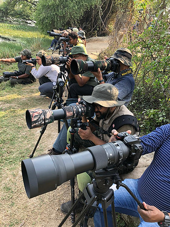 RRMC-Bharatpur 2019