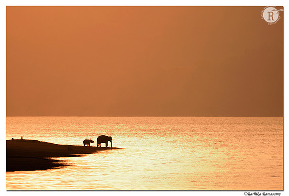 Golden Sunset_D4S2946