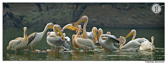 Group discussion_D4R6323