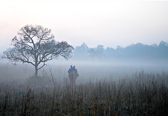 Foggy grassland_D4R7476