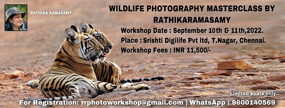 Cover rr masterclass-chennai