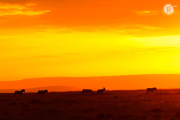 Sunset_MAR2696 2
