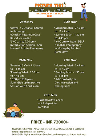 Picture this 2024_program details